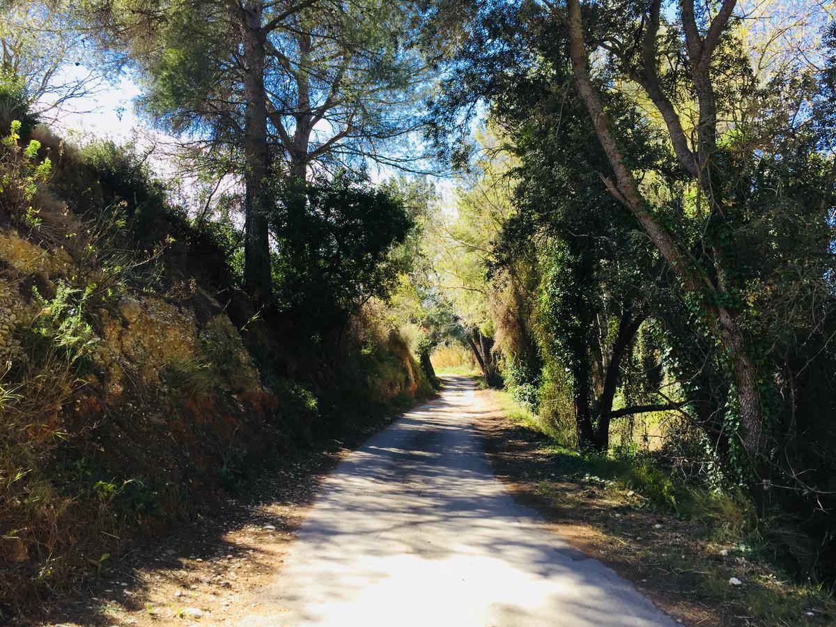 Cal Calaf Holiday home